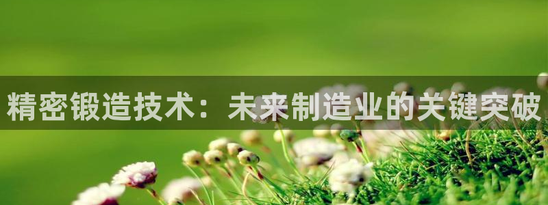 彩神vi官网版