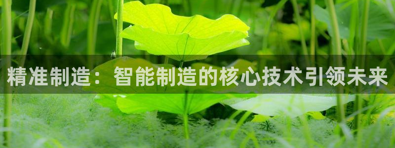 彩神v8下载app5