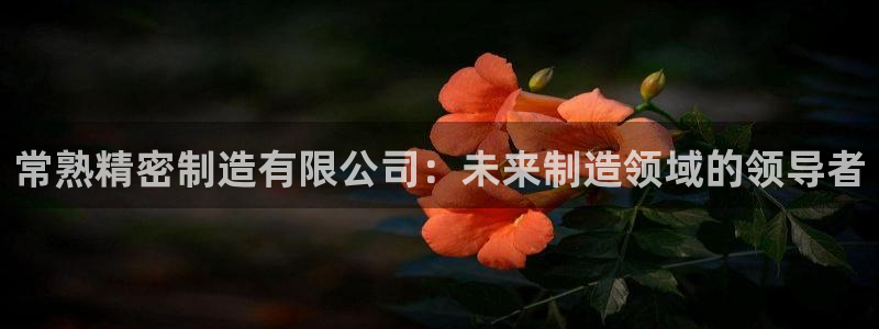 彩神v8客户端：常熟精密制造有限公司：未来制造领域的领导者