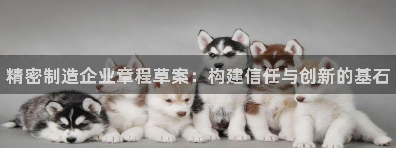 彩神趣购彩用户注册：精密制造企业章程草案：构建信任与创新的基石