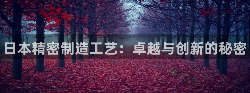 彩神vii官网大赢家