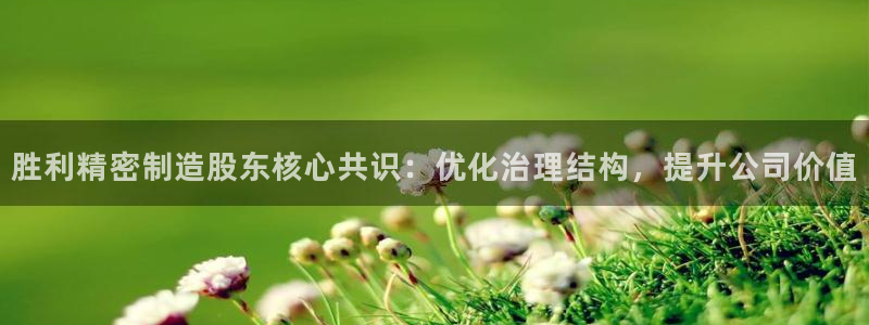 彩神购彩-购彩大厅入口娱乐首选：胜利精密制造股东核心共识：优化治理结构，提升公司价值