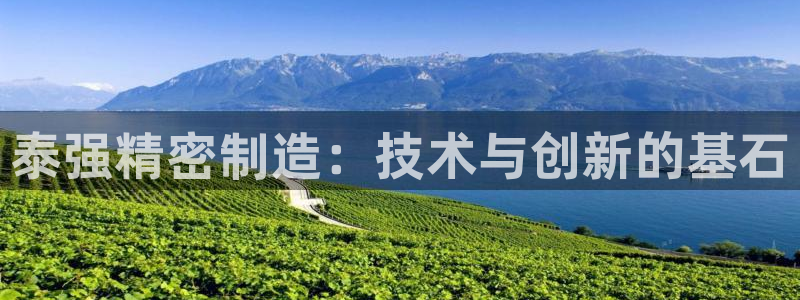 彩神ⅴll用户登录：泰强精密制造：技术与创新的基石