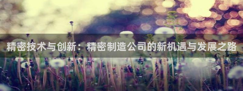 彩神怎么样可以提现：精密技术与创新：精密制造公司的新机遇与发展之路