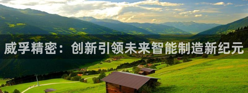 彩神v天天：威孚精密：创新引领未来智能制造新纪元