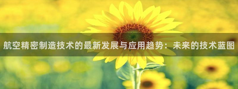 彩神v彩搜狗：航空精密制造技术的最新发展与应用趋势：未来的技术蓝图