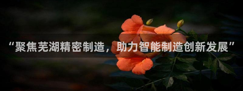 彩神8官网版是正规的吗：“聚焦芜湖精密制造，助力智能制造创新发展”