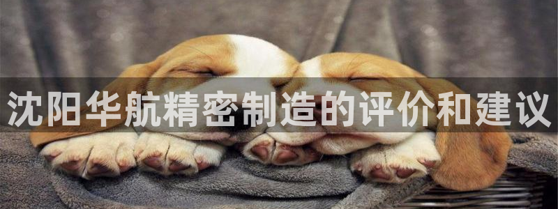 彩神购彩-购彩大厅入口娱乐首选：沈阳华航精密制造的评价和建议