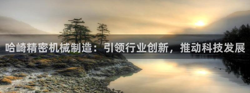 彩神是真的吗：哈崎精密机械制造：引领行业创新，推动科技发展