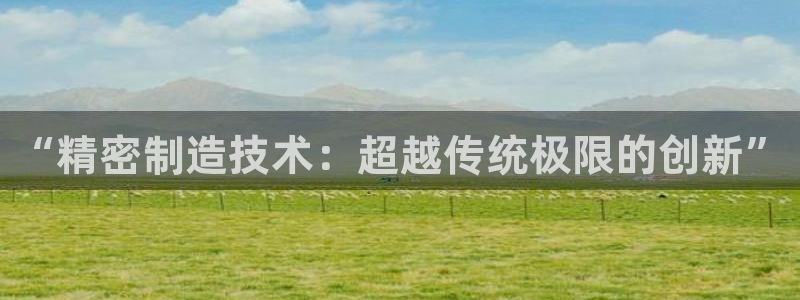 新版彩神v8登录不了：“精密制造技术：超越传统极限的创新”