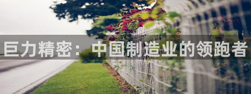 彩神大发三期计划网站：巨力精密：中国制造业的领跑者