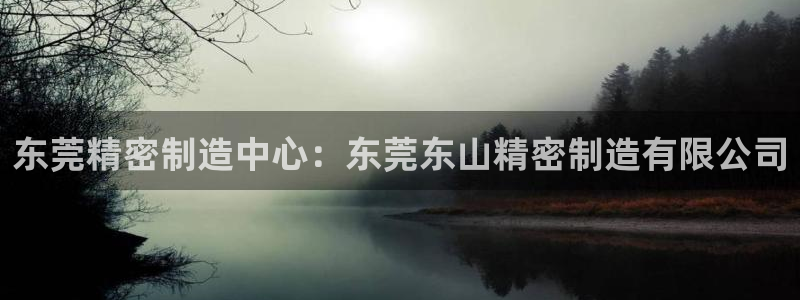 彩神网正规吗：东莞精密制造中心：东莞东山精密制造有限公司