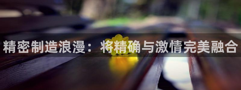 彩神vl官网：精密制造浪漫：将精确与激情完美融合