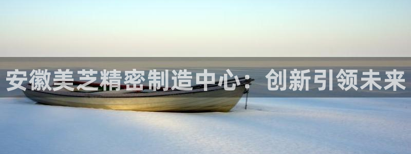 彩神vⅲ下载安装：安徽美芝精密制造中心：创新引领未来