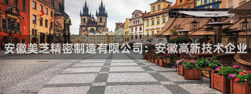 彩神vll首页环球：安徽美芝精密制造有限公司：安徽高新技术企业