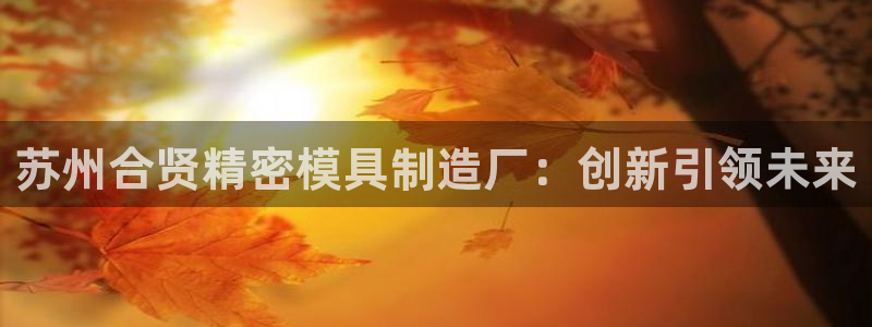 彩神v天天：苏州合贤精密模具制造厂：创新引领未来