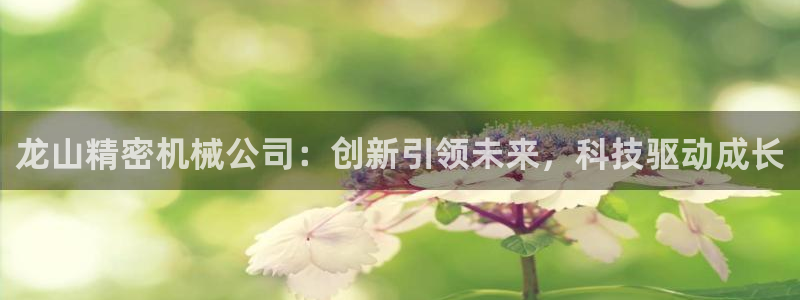 彩神v争霸有限公司：龙山精密机械公司：创新引领未来，科技驱动成长