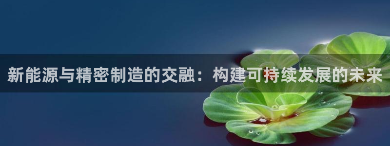 彩神8彩平台客服：新能源与精密制造的交融：构建可持续发展的未来