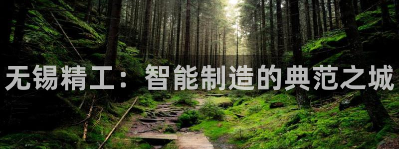 彩神争霸官方下载2017：无锡精工：智能制造的典范之城