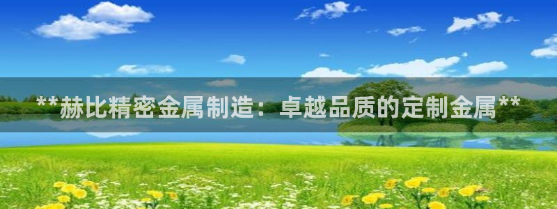 彩神vlll官方网：**赫比精密金属制造：卓越品质的定制金属**