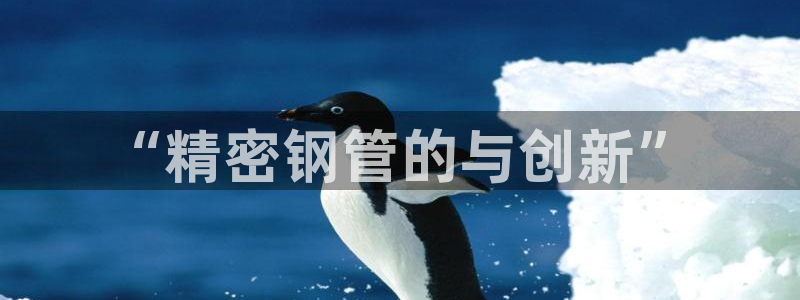 彩神vii购彩l心：“精密钢管的与创新”